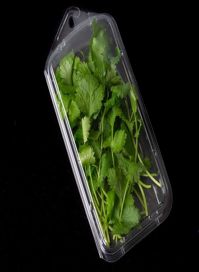 JA Kitchens 2 Ounce Large Herb Clamshell Container - Disposable - Pack of 20 - Image 1